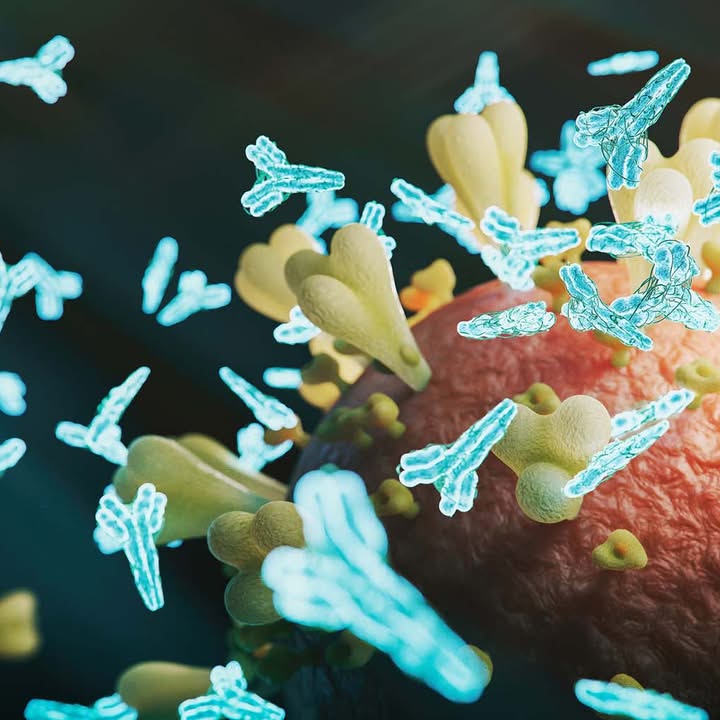 Bluttest könnte Auftreten einer Multiplen Sklerose vorhersagen
